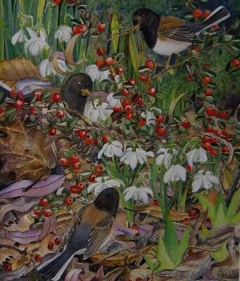 Juncos and Snowdrops